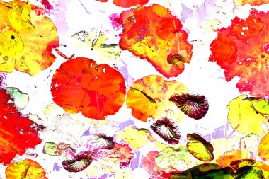 Nilüfer yaprakları, zarif arkaplan deseni