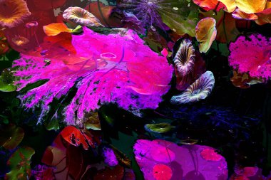 Nilüfer yaprakları, zarif arkaplan deseni