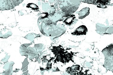 Nilüfer yaprakları, zarif arkaplan deseni