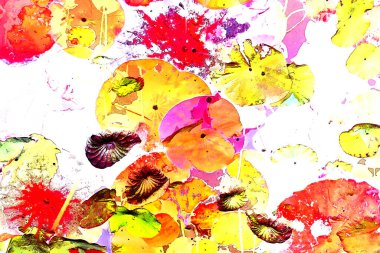 Nilüfer yaprakları, zarif arkaplan deseni