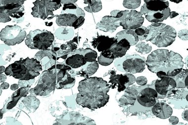 Nilüfer yaprakları, zarif arkaplan deseni