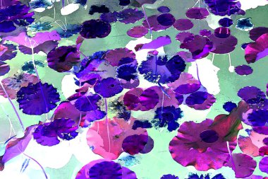 Nilüfer yaprakları, zarif arkaplan deseni