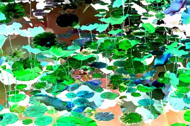 Nilüfer yaprakları, zarif arkaplan deseni