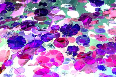 Nilüfer yaprakları, zarif arkaplan deseni