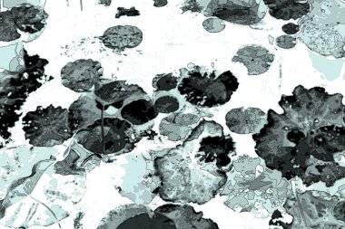 Nilüfer yaprakları, zarif arkaplan deseni