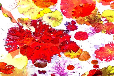 Nilüfer yaprakları, zarif arkaplan deseni