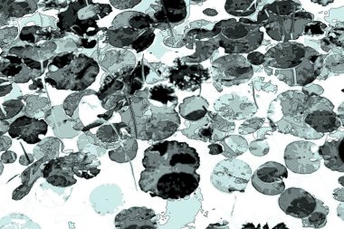 Nilüfer yaprakları, zarif arkaplan deseni