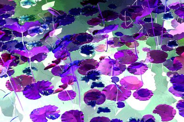 Nilüfer yaprakları, zarif arkaplan deseni