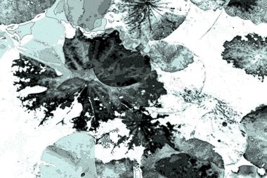 Nilüfer yaprakları, zarif arkaplan deseni