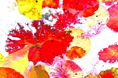 Nilüfer yaprakları, zarif arkaplan deseni