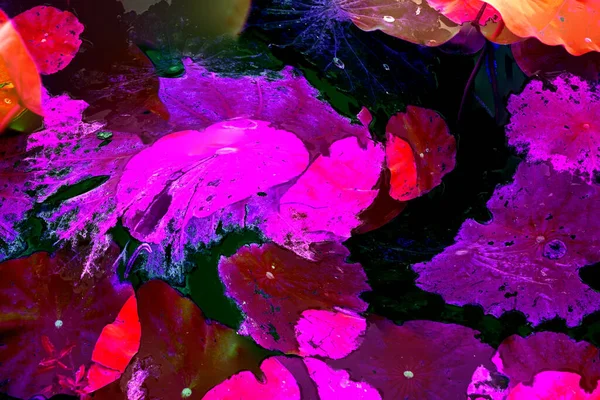 Lotus yaprağı ormanı. Çevre sorunları. Düz dizayn. Yüksek kalite vektör çizimi. Arkaplan deseni.