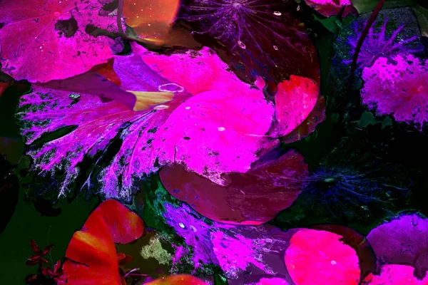 Lotus yaprağı ormanı. Çevre sorunları. Düz dizayn. Yüksek kalite vektör çizimi. Arkaplan deseni.