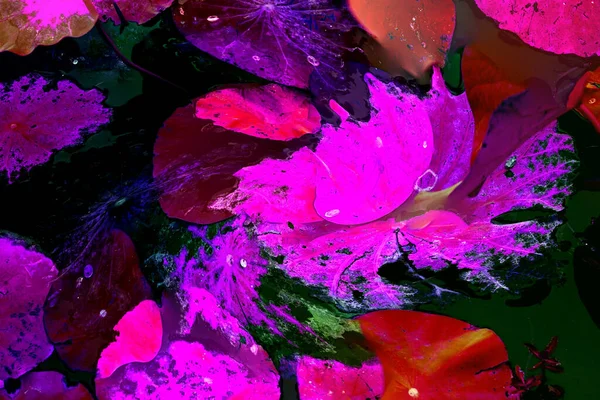 Lotus yaprağı ormanı. Çevre sorunları. Düz dizayn. Yüksek kalite vektör çizimi. Arkaplan deseni.