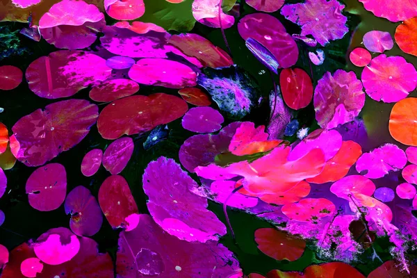 Lotus yaprağı ormanı. Çevre sorunları. Düz dizayn. Yüksek kalite vektör çizimi. Arkaplan deseni.