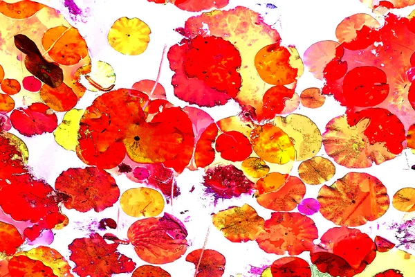 Lotus yaprağı ormanı. Çevre sorunları. Düz dizayn. Yüksek kalite vektör çizimi. Arkaplan deseni.