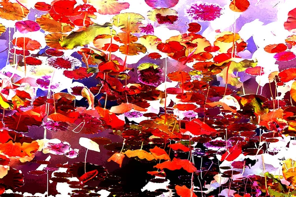 Lotus yaprağı ormanı. Çevre sorunları. Düz dizayn. Yüksek kalite vektör çizimi. Arkaplan deseni.