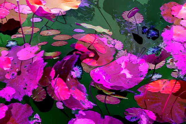 Lotus yaprağı ormanı. Çevre sorunları. Düz dizayn. Yüksek kalite vektör çizimi. Arkaplan deseni.