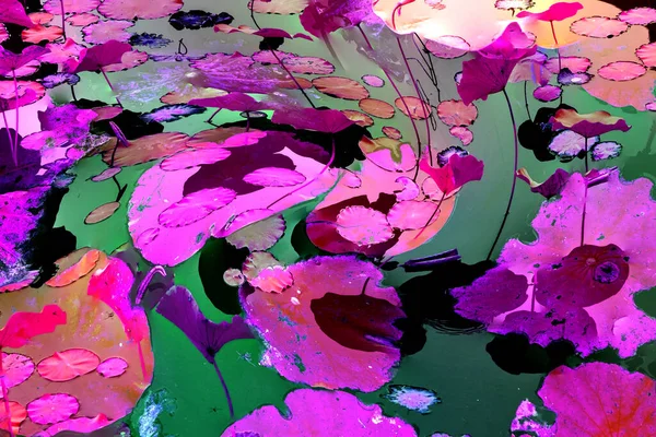 Lotus yaprağı ormanı. Çevre sorunları. Düz dizayn. Yüksek kalite vektör çizimi. Arkaplan deseni.