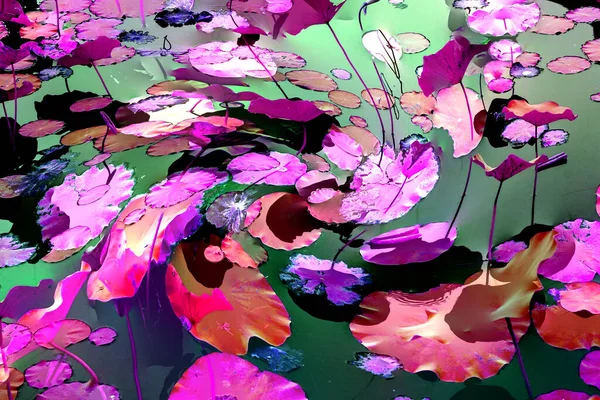 Lotus yaprağı ormanı. Çevre sorunları. Düz dizayn. Yüksek kalite vektör çizimi. Arkaplan deseni.