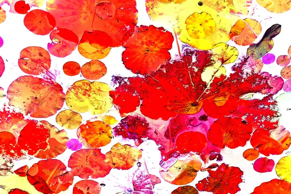 Lotus yaprağı ormanı. Çevre sorunları. Düz dizayn. Yüksek kalite vektör çizimi. Arkaplan deseni.