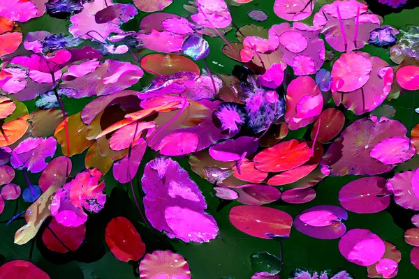 Lotus yaprağı ormanı. Çevre sorunları. Düz dizayn. Yüksek kalite vektör çizimi. Arkaplan deseni.