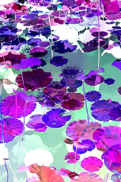 Lotus yaprağı ormanı. Çevre sorunları. Düz dizayn. Yüksek kalite vektör çizimi. Arkaplan deseni.