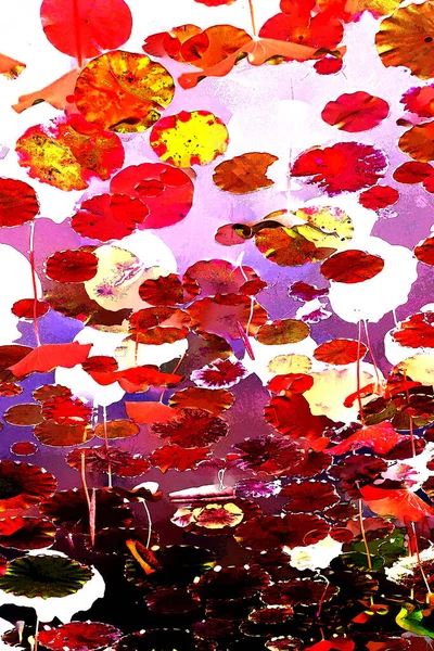 Lotus yaprağı ormanı. Çevre sorunları. Düz dizayn. Yüksek kalite vektör çizimi. Arkaplan deseni.