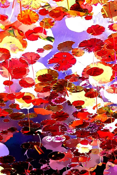 Lotus yaprağı ormanı. Çevre sorunları. Düz dizayn. Yüksek kalite vektör çizimi. Arkaplan deseni.