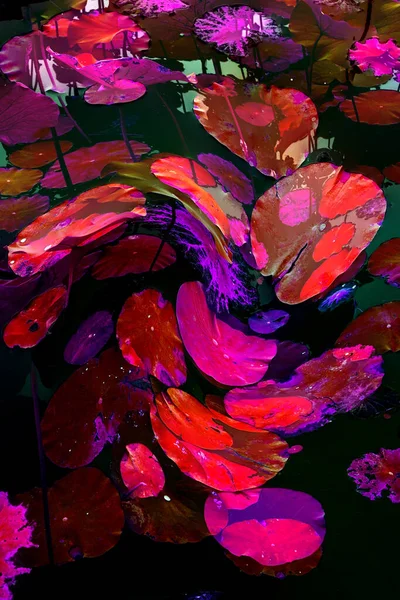 Lotus yaprağı ormanı. Çevre sorunları. Düz dizayn. Yüksek kalite vektör çizimi. Arkaplan deseni.