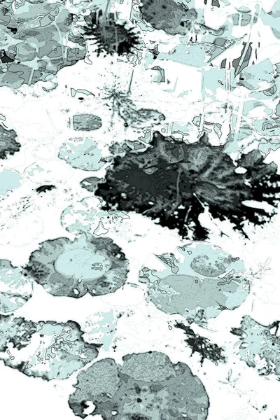 Листя Лотоса Джунглі Екологічні Проблеми Плоский Дизайн Якісна Векторна Ілюстрація — стокове фото