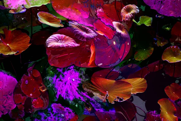 Lotus yaprağı ormanı. Çevre sorunları. Düz dizayn. Yüksek kalite vektör çizimi. Arkaplan deseni.