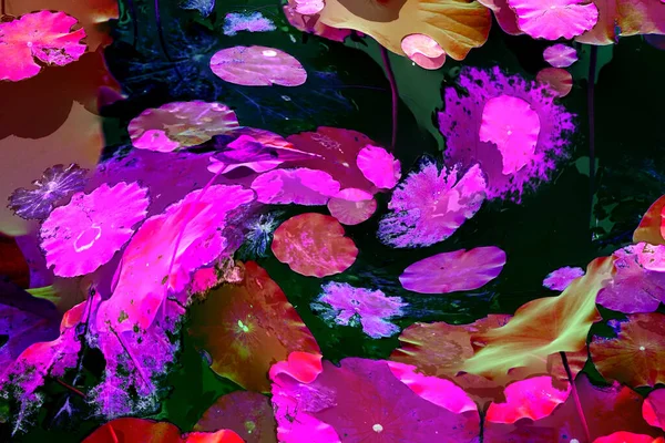 Lotus yaprağı ormanı. Çevre sorunları. Düz dizayn. Yüksek kalite vektör çizimi. Arkaplan deseni.