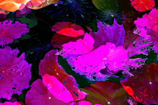 Lotus yaprağı ormanı. Çevre sorunları. Düz dizayn. Yüksek kalite vektör çizimi. Arkaplan deseni.