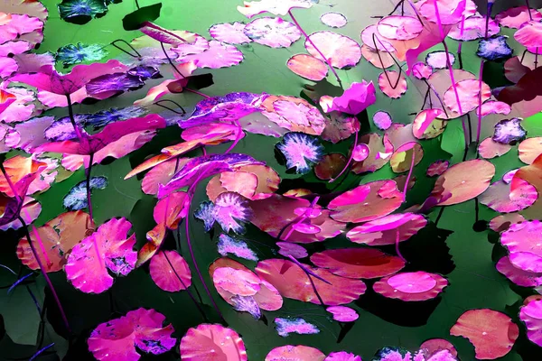 Lotus yaprağı ormanı. Çevre sorunları. Düz dizayn. Yüksek kalite vektör çizimi. Arkaplan deseni.