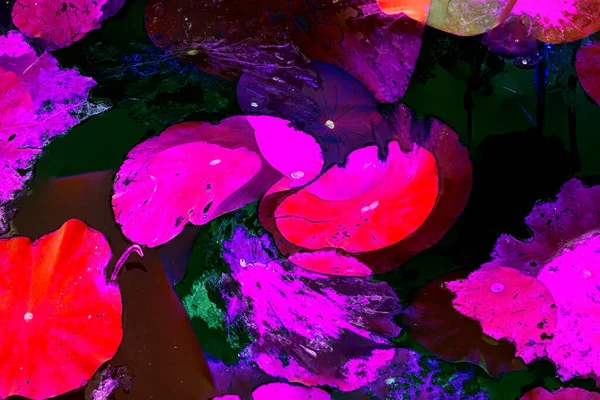 Lotus yaprağı ormanı. Çevre sorunları. Düz dizayn. Yüksek kalite vektör çizimi. Arkaplan deseni.