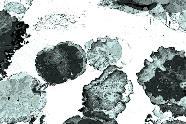 Lotus yaprağı ormanı. Çevre sorunları. Düz dizayn. Yüksek kalite vektör çizimi. Arkaplan deseni.