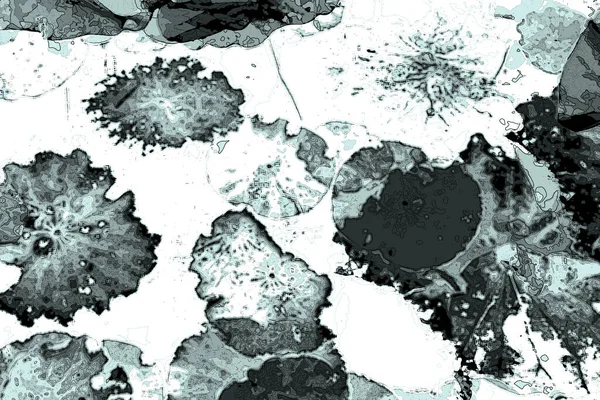 Lotus yaprağı ormanı. Çevre sorunları. Düz dizayn. Yüksek kalite vektör çizimi. Arkaplan deseni.