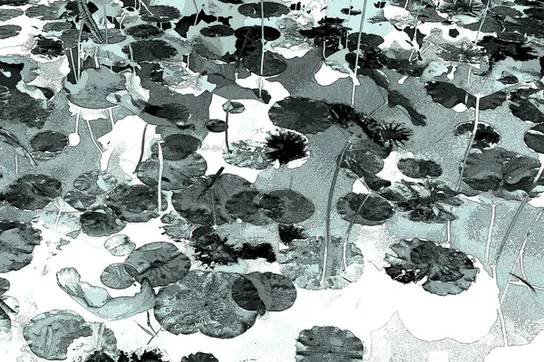 Lotus yaprağı ormanı. Çevre sorunları. Düz dizayn. Yüksek kalite vektör çizimi. Arkaplan deseni.