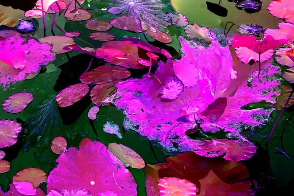 Lotus yaprağı ormanı. Çevre sorunları. Düz dizayn. Yüksek kalite vektör çizimi. Arkaplan deseni.