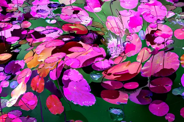 Lotus yaprağı ormanı. Çevre sorunları. Düz dizayn. Yüksek kalite vektör çizimi. Arkaplan deseni.