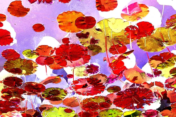 Lotus yaprağı ormanı. Çevre sorunları. Düz dizayn. Yüksek kalite vektör çizimi. Arkaplan deseni.