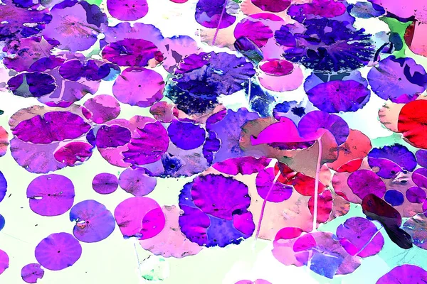 Lotus yaprağı ormanı. Çevre sorunları. Düz dizayn. Yüksek kalite vektör çizimi. Arkaplan deseni.