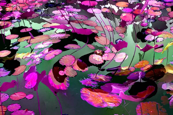 Lotus yaprağı ormanı. Çevre sorunları. Düz dizayn. Yüksek kalite vektör çizimi. Arkaplan deseni.