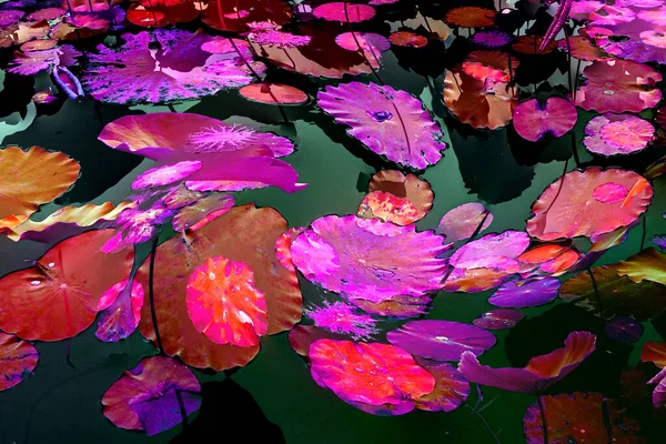 Lotus yaprağı ormanı. Çevre sorunları. Düz dizayn. Yüksek kalite vektör çizimi. Arkaplan deseni.