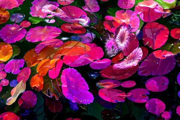 Lotus yaprağı ormanı. Çevre sorunları. Düz dizayn. Yüksek kalite vektör çizimi. Arkaplan deseni.