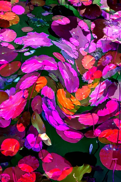 Lotus yaprağı ormanı. Çevre sorunları. Düz dizayn. Yüksek kalite vektör çizimi. Arkaplan deseni.