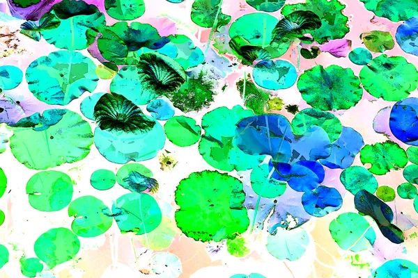 Lotus yaprağı ormanı. Çevre sorunları. Düz dizayn. Yüksek kalite vektör çizimi. Arkaplan deseni.