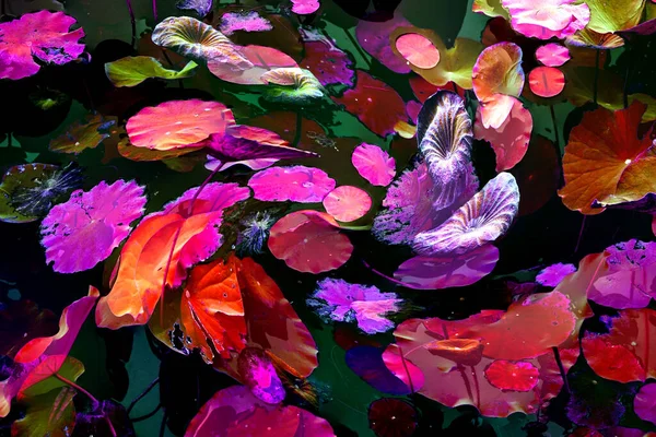 Lotus yaprağı ormanı. Çevre sorunları. Düz dizayn. Yüksek kalite vektör çizimi. Arkaplan deseni.