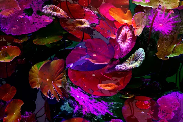 Nilüfer yaprakları, zarif arkaplan deseni