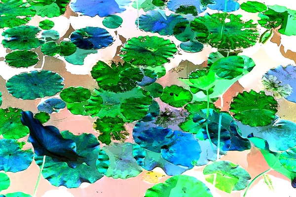 Nilüfer yaprakları, zarif arkaplan deseni